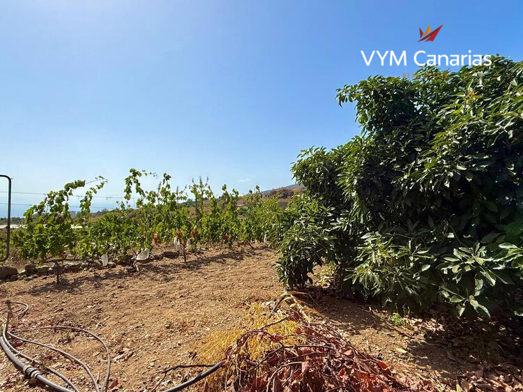 Дом / Вилла — Рустико (финка) Guimar, Guimar
