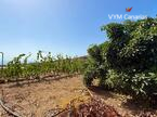 Дом / Вилла — Рустико (финка) Guimar, Guimar