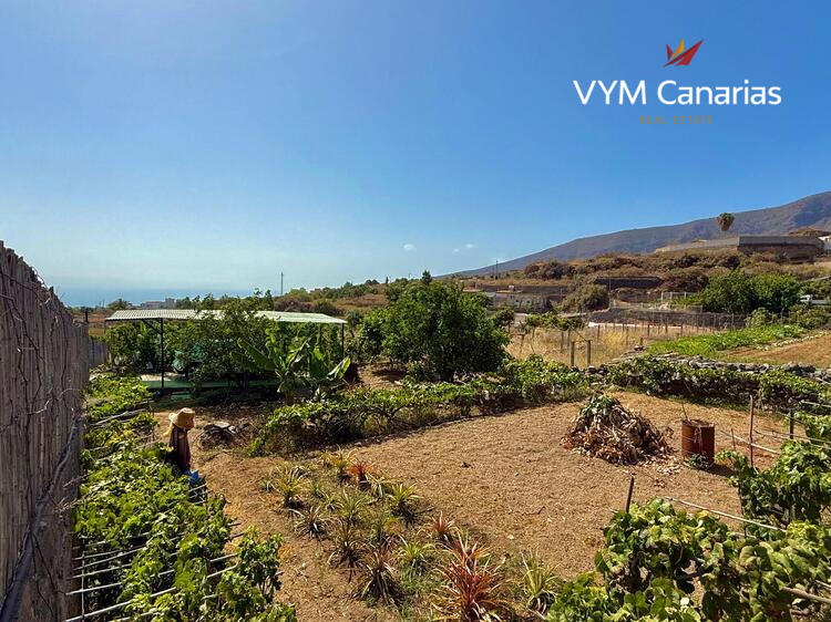 Дом / Вилла — Рустико (финка) Guimar, Guimar