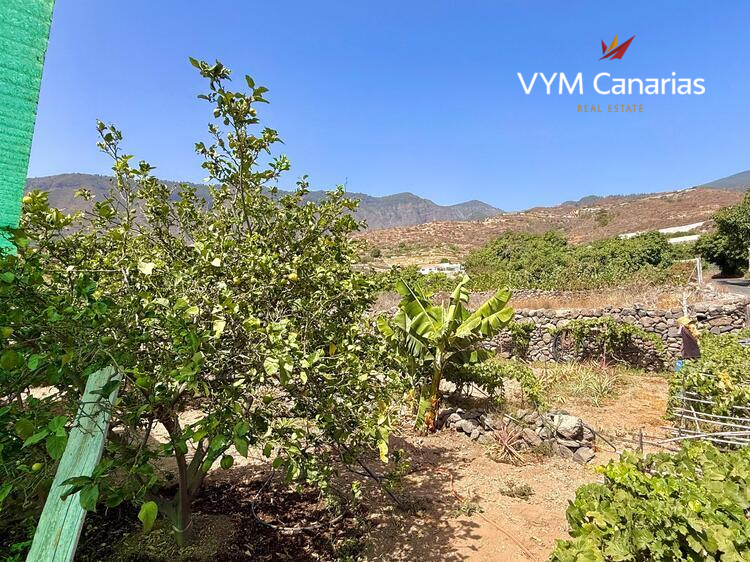 Дом / Вилла — Рустико (финка) Guimar, Guimar