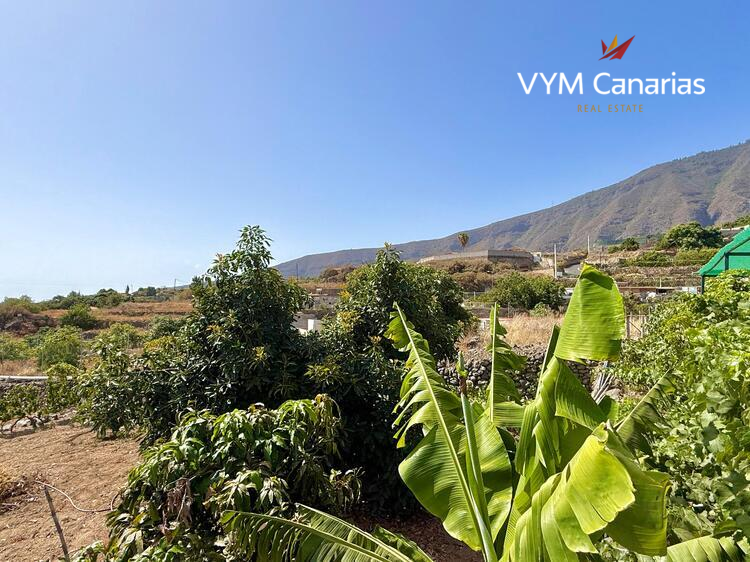 Дом / Вилла — Рустико (финка) Guimar, Guimar