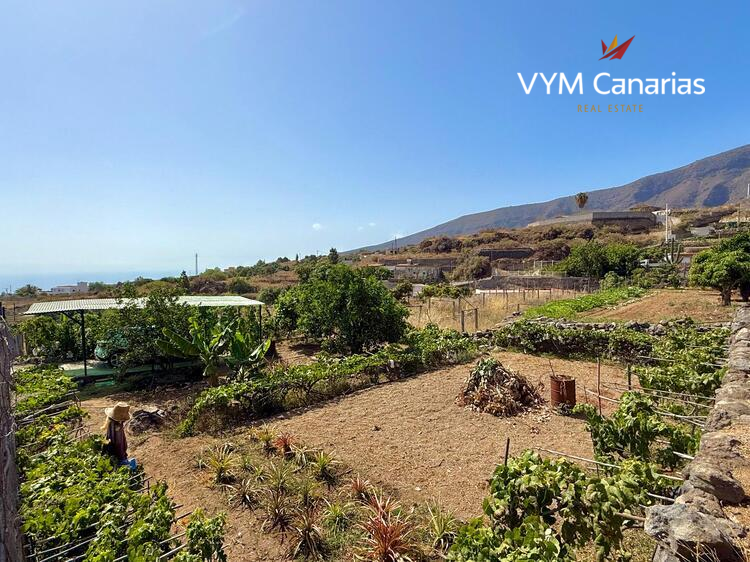 Дом / Вилла — Рустико (финка) Guimar, Guimar