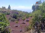 House / Villa – Rustico (Finnish) Guia de Isora, Guia de Isora