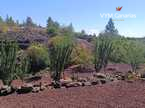 House / Villa – Rustico (Finnish) Guia de Isora, Guia de Isora