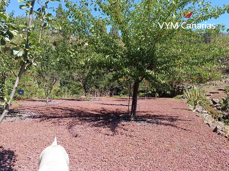 House / Villa – Rustico (Finnish) Guia de Isora, Guia de Isora