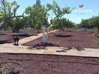 House / Villa – Rustico (Finnish) Guia de Isora, Guia de Isora