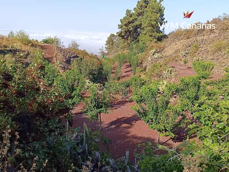 House / Villa – Rustico (Finnish) Guia de Isora, Guia de Isora