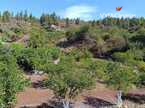 House / Villa – Rustico (Finnish) Guia de Isora, Guia de Isora