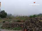 House / Villa – Rustico (Finnish) Guia de Isora, Guia de Isora