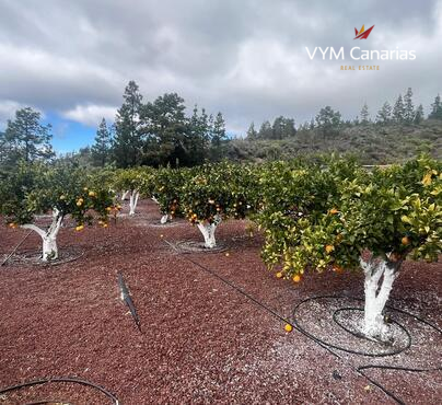 郊外 房屋/别墅 Guia de Isora, Guia de Isora