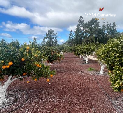 郊外 房屋/别墅 Guia de Isora, Guia de Isora