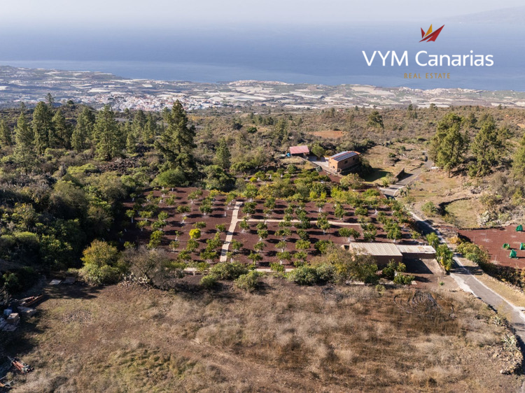 Dom / Willa – Rustico (fiński) Guia de Isora, Guia de Isora