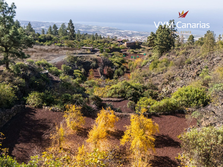 Dom / Willa – Rustico (fiński) Guia de Isora, Guia de Isora