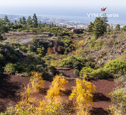 Casa / villa – Rustico (finlandese) Guia de Isora, Guia de Isora