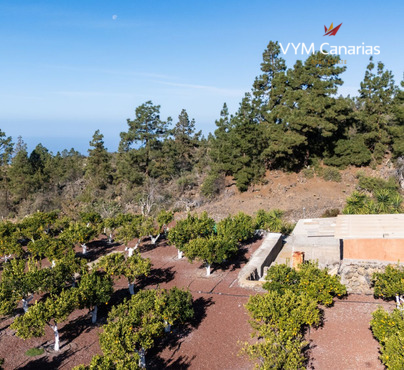 Casa / villa – Rustico (finlandese) Guia de Isora, Guia de Isora