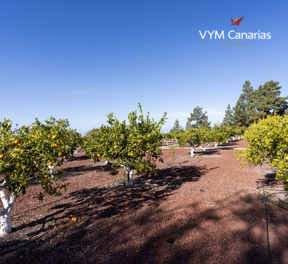 Casa / villa – Rustico (finlandese) Guia de Isora, Guia de Isora