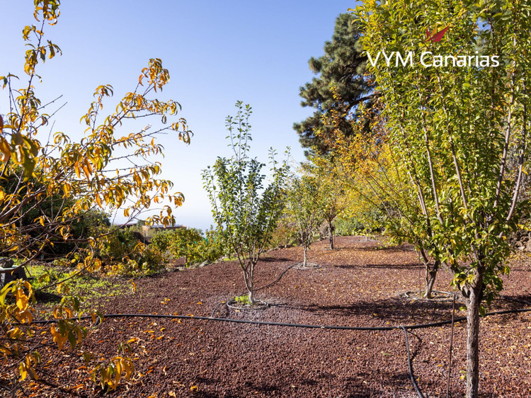 Dom / Willa – Rustico (fiński) Guia de Isora, Guia de Isora