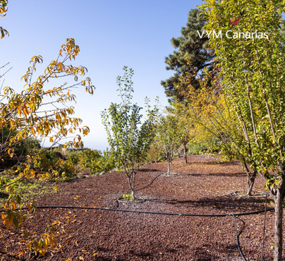 Casa / villa – Rustico (finlandese) Guia de Isora, Guia de Isora