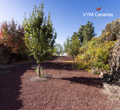 Casa / villa – Rustico (finlandese) Guia de Isora, Guia de Isora