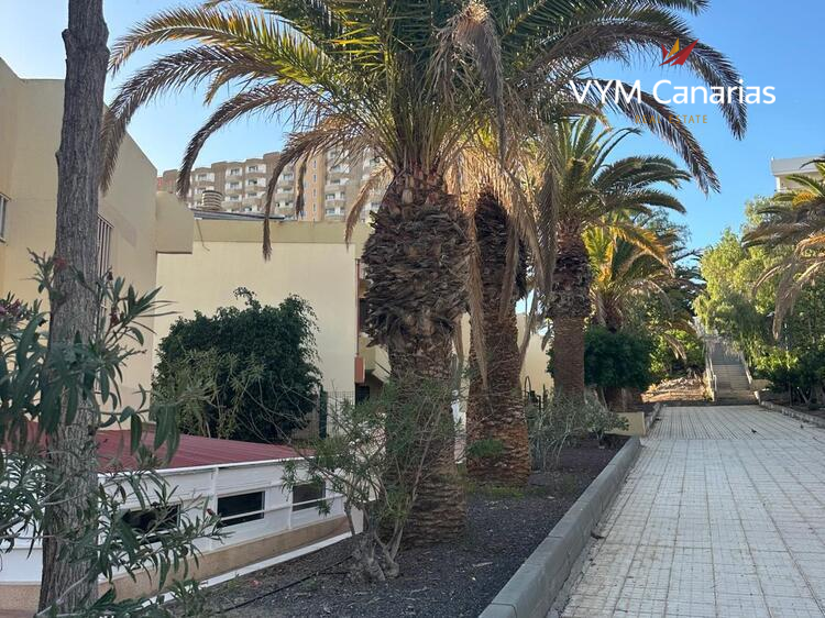 公寓-顶层公寓 Las Plataneras, Los Cristianos, Arona