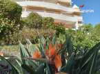 公寓 Oasis La Caleta, La Caleta – Costa Adeje, Adeje