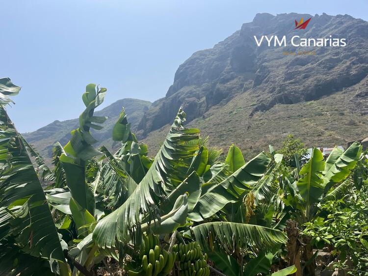 Ferienhaus / Villa – Rustico (Finnisch) La Caleta De Interian, Garachico