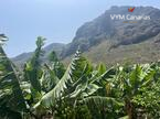 Ferienhaus / Villa – Rustico (Finnisch) La Caleta De Interian, Garachico