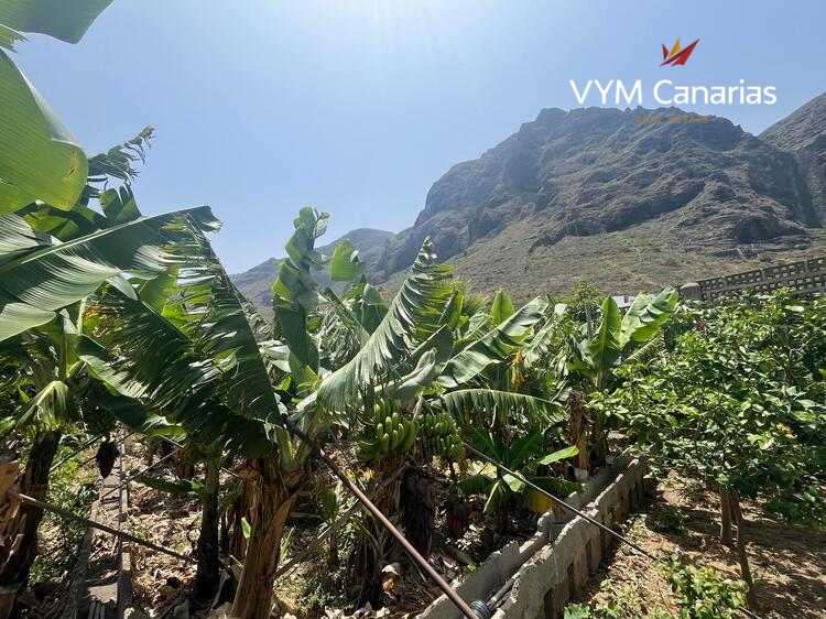 Ferienhaus / Villa – Rustico (Finnisch) La Caleta De Interian, Garachico