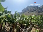 Ferienhaus / Villa – Rustico (Finnisch) La Caleta De Interian, Garachico