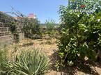 Ferienhaus / Villa – Rustico (Finnisch) La Caleta De Interian, Garachico