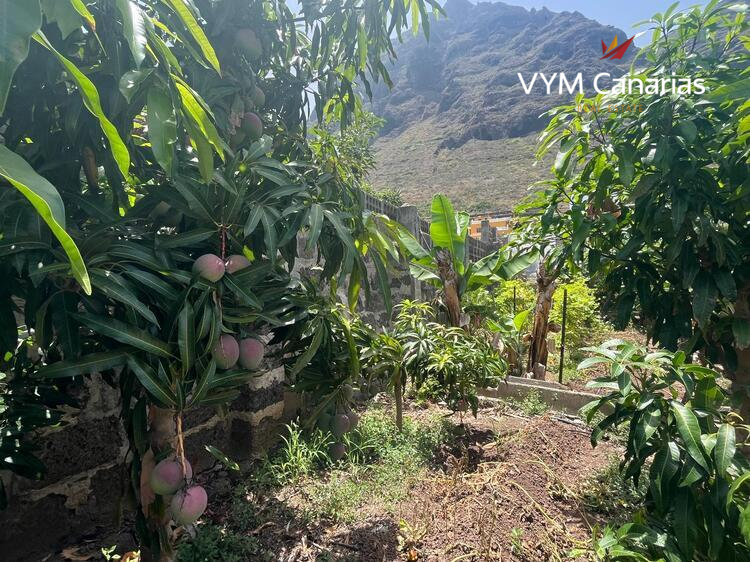 Ferienhaus / Villa – Rustico (Finnisch) La Caleta De Interian, Garachico