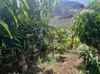 Ferienhaus / Villa – Rustico (Finnisch) La Caleta De Interian, Garachico