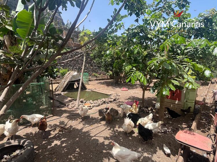 Ferienhaus / Villa – Rustico (Finnisch) La Caleta De Interian, Garachico