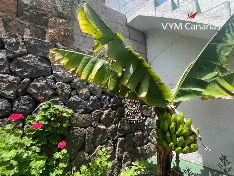 Ferienhaus / Villa – Rustico (Finnisch) La Caleta De Interian, Garachico