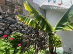 Ferienhaus / Villa – Rustico (Finnisch) La Caleta De Interian, Garachico