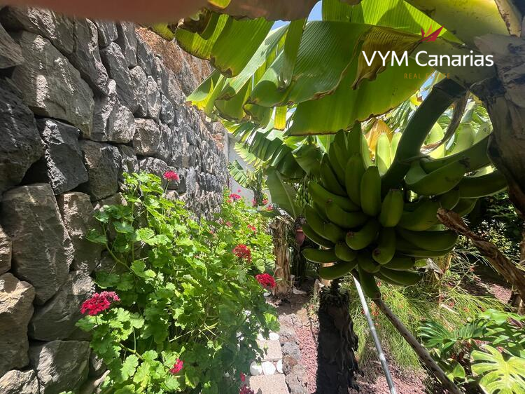 Ferienhaus / Villa – Rustico (Finnisch) La Caleta De Interian, Garachico