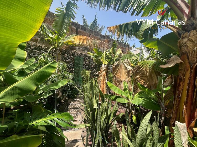 Ferienhaus / Villa – Rustico (Finnisch) La Caleta De Interian, Garachico