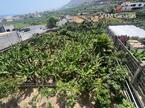 Ferienhaus / Villa – Rustico (Finnisch) La Caleta De Interian, Garachico