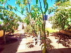 Appartamento Valle del Sol, El Madroñal, Adeje
