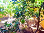 Appartamento Valle del Sol, El Madroñal, Adeje