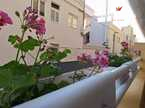 Appartement Edf. Ceyla, Los Cristianos, Arona
