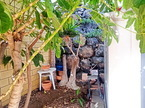Maison / Villa San Francisco, Callao Salvaje, Adeje