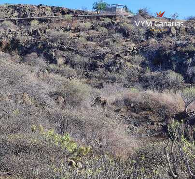 Terrain Rustique Tijoco Bajo, Adeje
