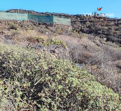 Terrain Rustique Tijoco Bajo, Adeje
