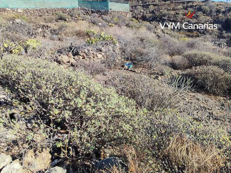 Land – Rustico Tijoco Bajo, Adeje