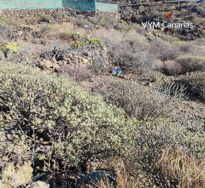 Terrain Rustique Tijoco Bajo, Adeje