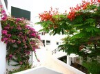 公寓 El Paso, Playa de Las Americas – Arona, Arona
