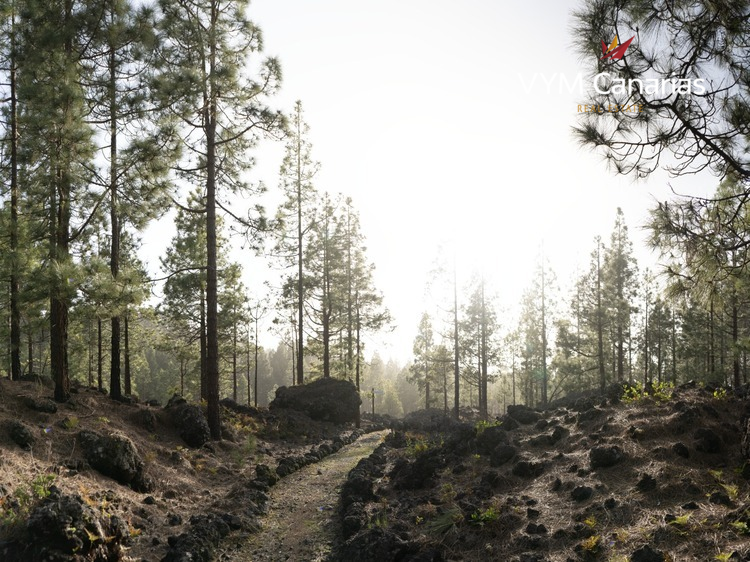 Casa / villa – Rustico (finlandese) La Montaneta (Los Realejos), Los Realejos