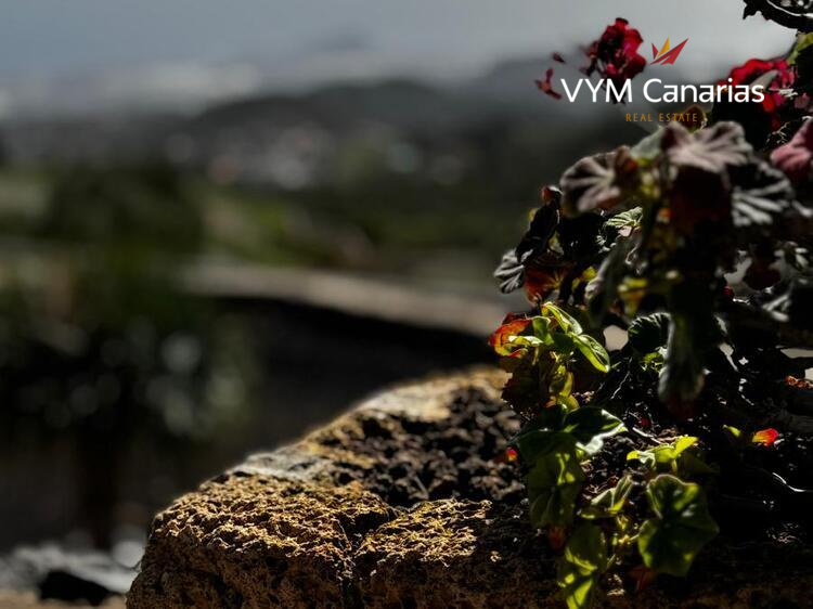 Ferienhaus / Villa – Rustico (Finnisch) Cruz de Tea, Granadilla de Abona