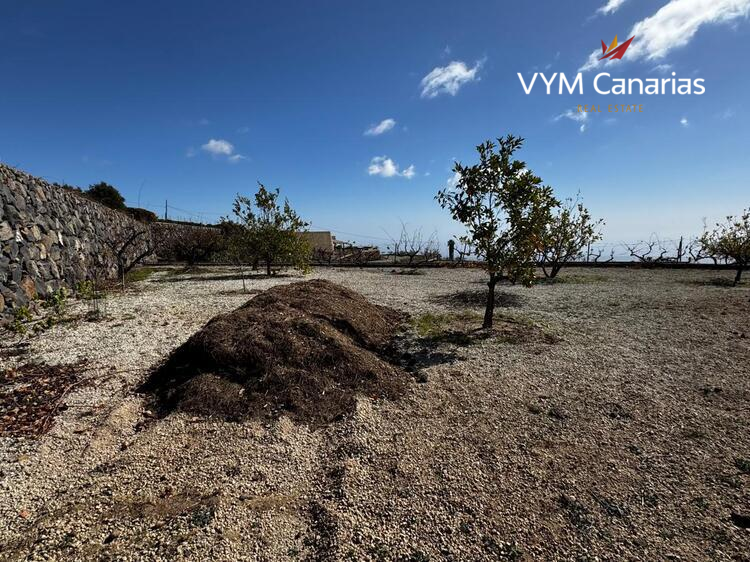 Ferienhaus / Villa – Rustico (Finnisch) Cruz de Tea, Granadilla de Abona